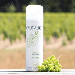 Спрей для лица Caudalie Grape Water 200 мл цена и информация | Аппараты для ухода за лицом | kaup24.ee