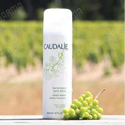 Näosprei Caudalie Grape Water 200 ml цена и информация | Näopuhastusvahendid | kaup24.ee