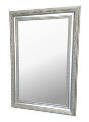 Peegel Avila 59x87 cm, hõbedast värvi hind ja info | Peeglid | kaup24.ee