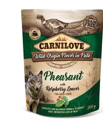 Carnilove Pouch Pate Pheasant with Raspberry Leaves einekotike koertele 300g цена и информация | Консервы для собак | kaup24.ee