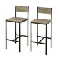 Kahe tooli komplekt SoBuy FST53, pruun/must hind ja info | Söögilaua toolid, köögitoolid | kaup24.ee