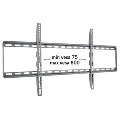 Seina kinnitamine telerile 42-80" LED/LCD 60kg slim 28mm цена и информация | Кронштейны и крепления для телевизоров | kaup24.ee