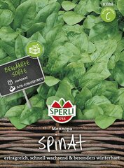 Шпинат Monnopa цена и информация | Семена овощей, ягод | kaup24.ee