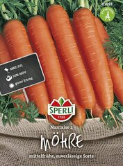 Porgand Nantaise2 цена и информация | Семена овощей, ягод | kaup24.ee