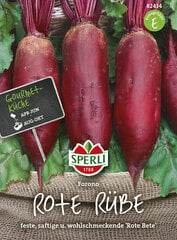 Punapeet Forono цена и информация | Семена овощей, ягод | kaup24.ee