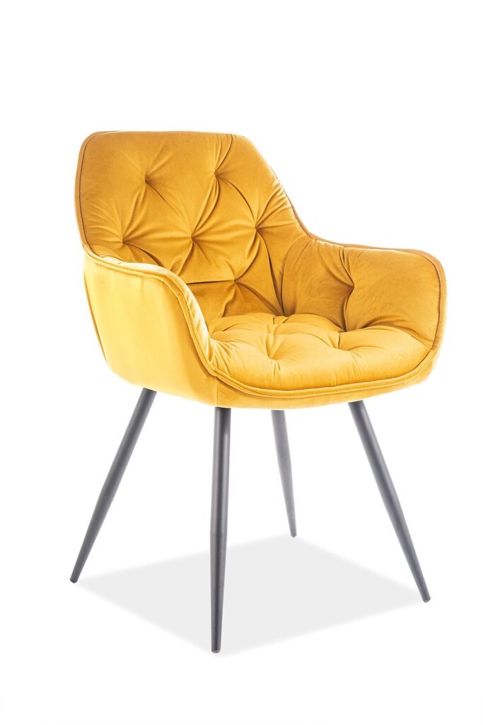 2 tooli komplekt Signal Meble Cherry, kollane цена и информация | Söögilaua toolid, köögitoolid | kaup24.ee