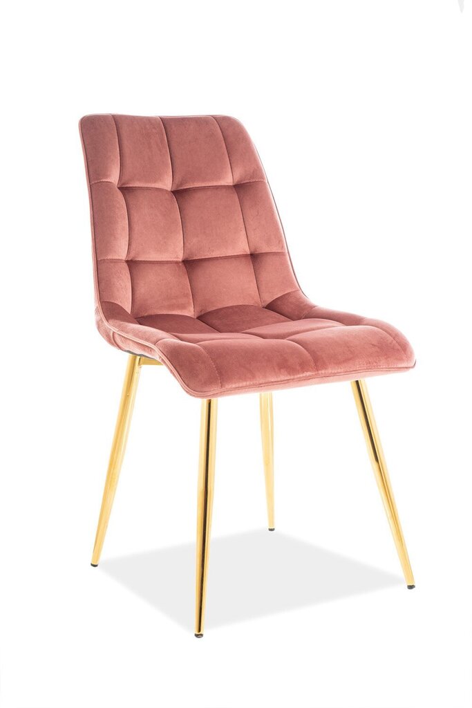 4 tooli komplekt Signal Meble Chic, roosa/kuldne hind ja info | Söögitoolid, baaritoolid | kaup24.ee