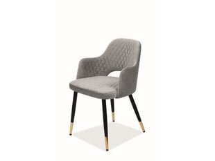 Набор из 2 стульев Signal Meble Franco Velvet, серый цена и информация | Стулья для кухни и столовой | kaup24.ee