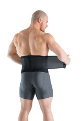 Seljatugi Gymstick 2.0, L / XL цена и информация | Ортезы и бандажи | kaup24.ee