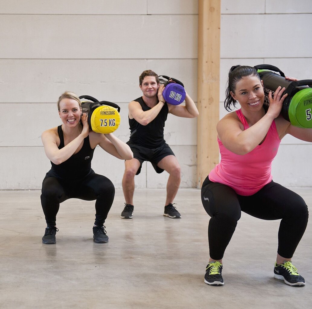 Raskuskott Gymsitck 10 kg цена и информация | Hantlid, kangid, raskused | kaup24.ee