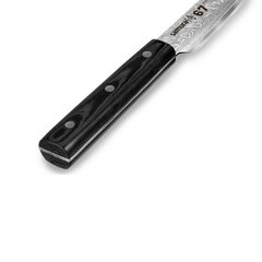Samura DAMASCUS 67 Универсальный Кухонный нож для Нарезки Tanto 230 мм из AUS 10 Дамасской стали 61 HRC (67-слойный) цена и информация | Ножи и аксессуары для них | kaup24.ee