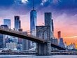 Pusle RAVENSBURGER New Yorgi panoraam, 2000 osa, 16011 цена и информация | Pusled | kaup24.ee