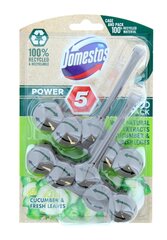 Domestos WC-poti värskendaja Power 5 Cucumber & Fresh Leaves, 2x55 g hind ja info | Puhastusvahendid | kaup24.ee