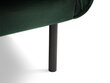 Diivan Cosmopolitan Design Vienna 2S, roheline veluur hind ja info | Diivanid ja diivanvoodid | kaup24.ee