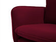 Diivan Cosmopolitan Design Vienna 2S, punane veluur hind ja info | Diivanid ja diivanvoodid | kaup24.ee
