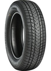 Gripmax Suregrip Ewinter 235/65R18 покрышка цена и информация | Зимняя резина | kaup24.ee