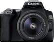 Canon EOS 250D + 18-55mm Kit, must hind ja info | Fotoaparaadid | kaup24.ee