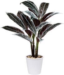 Briful 63CM suur kunstlik taim Cordyline Fruticosa valge potti hind ja info | Kunstlilled | kaup24.ee