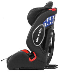 Turvatool Sparco F1000KI Isofix, 9-36 kg, Grey hind ja info | Turvatoolid | kaup24.ee