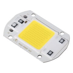 1 tk 30 W valge suure võimsusega integreeritud LED-prožektori COB-kiiplamp (30 W valge) hind ja info | Aiatööriistad | kaup24.ee