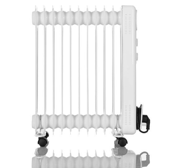 Radiaator Warmtec, 2500 W hind ja info | Küttekehad | kaup24.ee