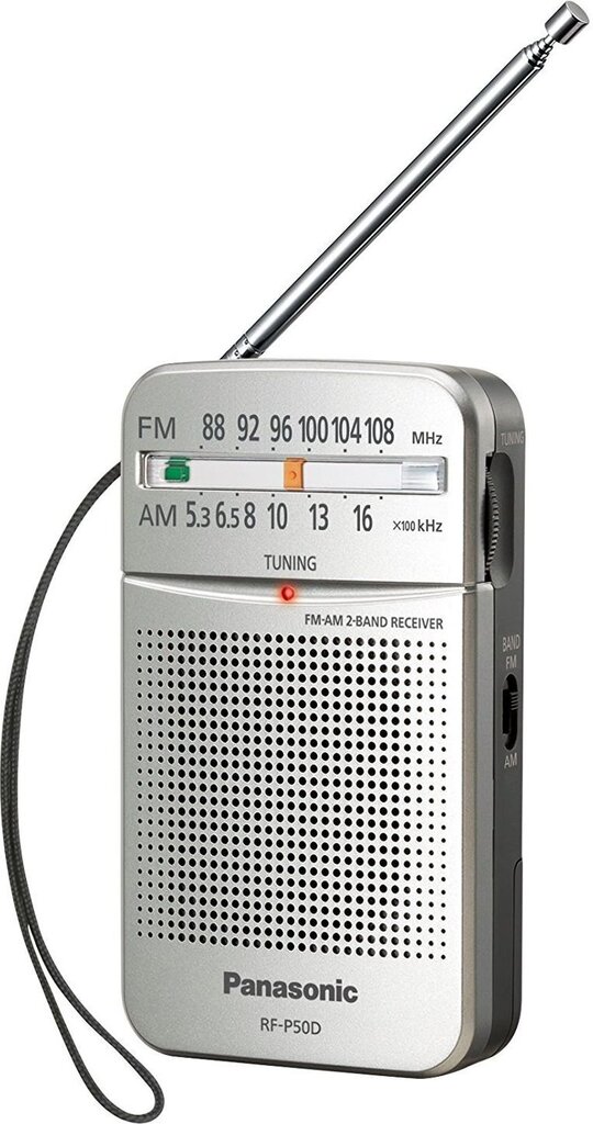 Panasonic RFP50DEGS цена и информация | Raadiod ja äratuskellad | kaup24.ee