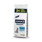 12 + 3 kg kingitusega Advance "Adult sterilized" steriliseeritud kassidele hind ja info | Kuivtoit kassidele | kaup24.ee