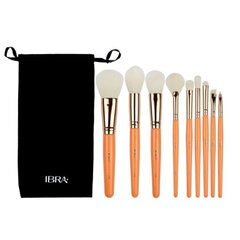 IBRA Makeup Brush Set Fresh – Fresh meigipintslite komplekt цена и информация | Кисти для макияжа, спонжи | kaup24.ee