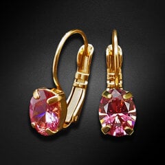 Серьги "Зеркало Барокко II (Fancy Pink)" с кристаллами Swarovski Zirconia Pure Brilliance DS03A207 цена и информация | Серьги | kaup24.ee