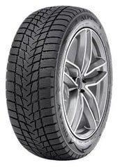 Radar DIMAX ALPINE 205/55R17 95 V XL цена и информация | Зимняя резина | kaup24.ee