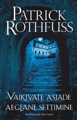 Vaikivate asjade aeglane settimine hind ja info | Romaanid | kaup24.ee