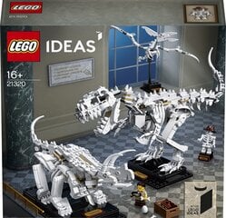 21320 LEGO® Ideas Dinosauruse fossiilid цена и информация | Конструкторы и кубики | kaup24.ee