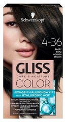 Juuksevärv Schwarzkopf Gliss Color 4-36 KULDPRUUN цена и информация | Краска для волос | kaup24.ee