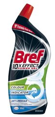 BREF WC 10XEFFECT puhastusvahend Ocean, 700ml цена и информация | Очистители | kaup24.ee