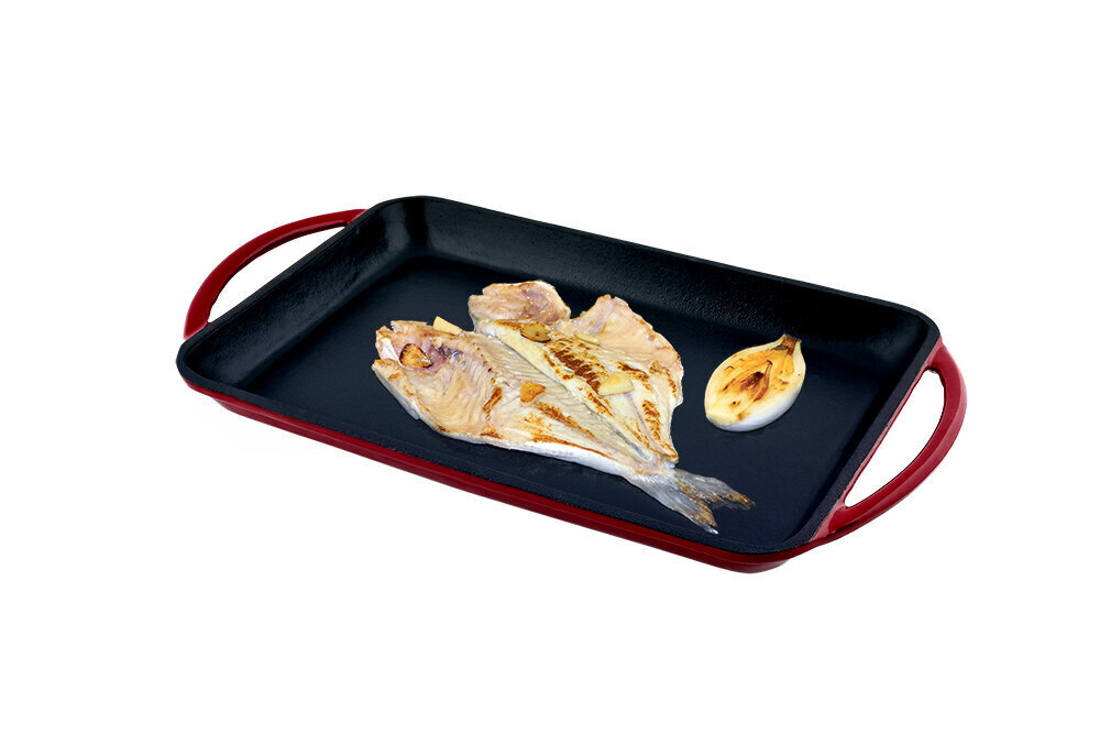 Grillpann Jata, 33x21.5 cm hind ja info | Pannid | kaup24.ee