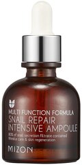 Näoseerum koos teolimaga Mizon Multifunctional Formula Snail Repair Intensive Ampoula 30 ml hind ja info | Näoõlid, seerumid | kaup24.ee