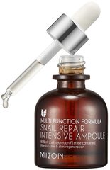 Näoseerum koos teolimaga Mizon Multifunctional Formula Snail Repair Intensive Ampoula 30 ml цена и информация | Сыворотки для лица, масла | kaup24.ee