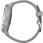 Garmin vívomove® 3 Silver/Powder Gray. hind ja info | Nutikellad (smartwatch) | kaup24.ee