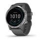 Garmin Vivoactive 4 GPS nutikell 010-02174-02 hind ja info | Nutikellad (smartwatch) | kaup24.ee