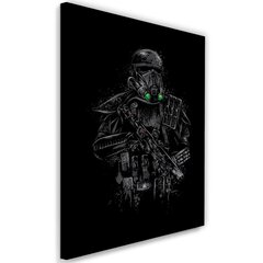 Seinapilt, Death Trooper Star Wars hind ja info | Seinapildid | kaup24.ee