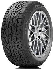 Orium/Kormoran Winter 245/40R18 97 V XL цена и информация | Зимняя резина | kaup24.ee