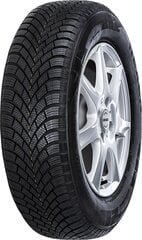 Nexen Winguard Snow G 3 (WH21) 205/60R16 92 H цена и информация | Зимняя резина | kaup24.ee