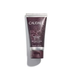 Питательный и регенерирующий крем для ног Caudalie Foot Beauty 75 мл цена и информация | Кремы, лосьоны для тела | kaup24.ee