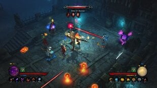 Diablo III (3) Eternal Collection Nintendo Switch/Lite цена и информация | Activision Компьютерная техника | kaup24.ee