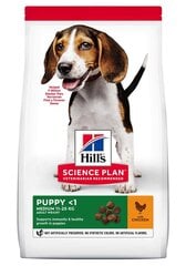 Kuivtoit kutsikatele Hill's Science Plan Medium Puppy kanaga, 14 kg цена и информация | Сухой корм для собак | kaup24.ee
