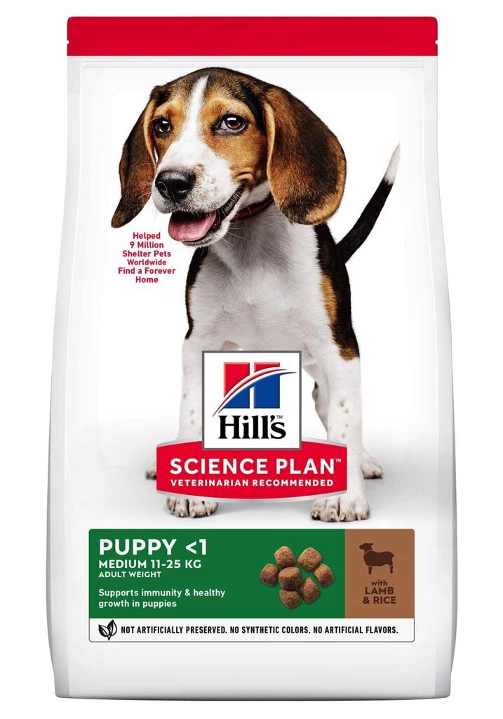 Kuivtoit kutsikatele Hill's Science Plan Puppy Medium lambaliha ja riisiga, 14 kg hind ja info | Kuivtoit koertele | kaup24.ee