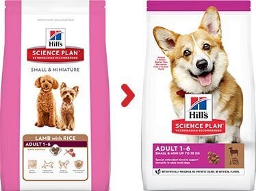 Kuivtoit koertele Hill's Sience Plan Small & Mini Adult lambaliha ja riisiga, 1,5 kg hind ja info | Kuivtoit koertele | kaup24.ee