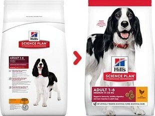 Kuivtoit koertele Hill's Science Plan Medium Adult kanalihaga, 14 kg hind ja info | Kuivtoit koertele | kaup24.ee