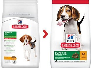 Kuivtoit kutsikatele Hill's Science Plan Puppy Medium kanalihaga, 2.5 kg цена и информация | Сухой корм для собак | kaup24.ee