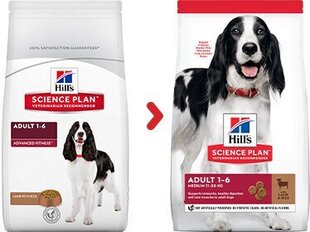 Kuivtoit koertele Hill's Science Plan Medium Adult lambaliha ja riisiga, 14 kg hind ja info | Kuivtoit koertele | kaup24.ee